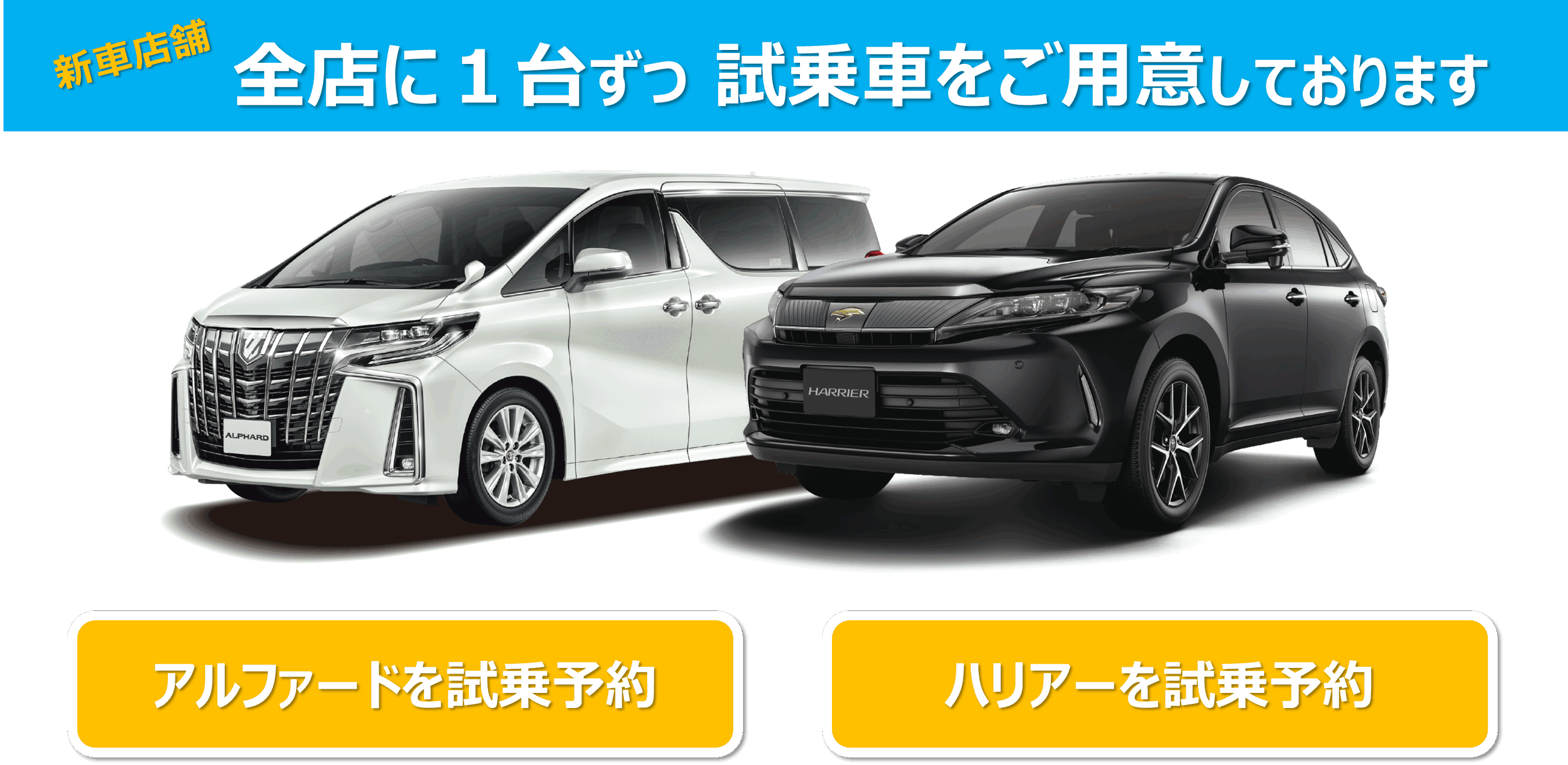 テストドライブキャンペーン  広島トヨペット株式会社