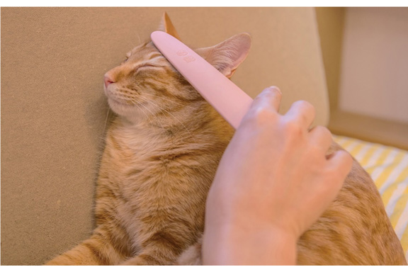 ねこじゃすり
