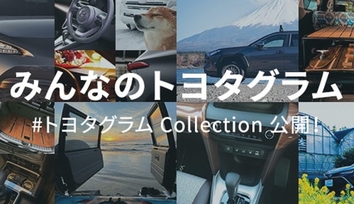 シルバーメタリック〈1D6〉フロントサイド