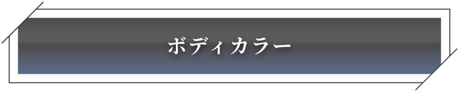 ボディカラー